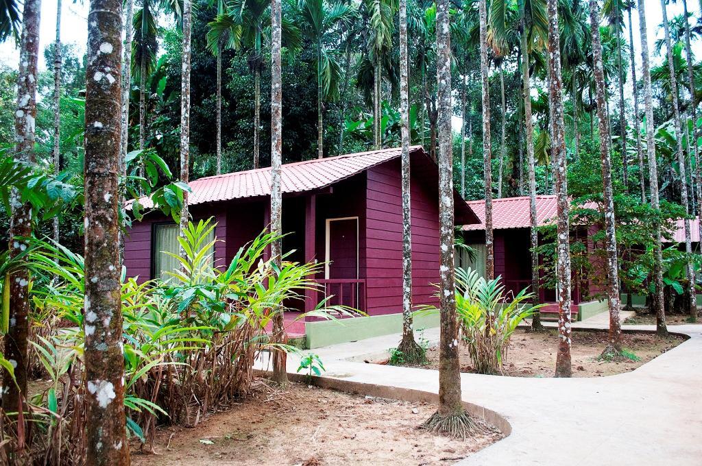 La Flora Prakruth Resort, Coorg Madikeri Exterior foto